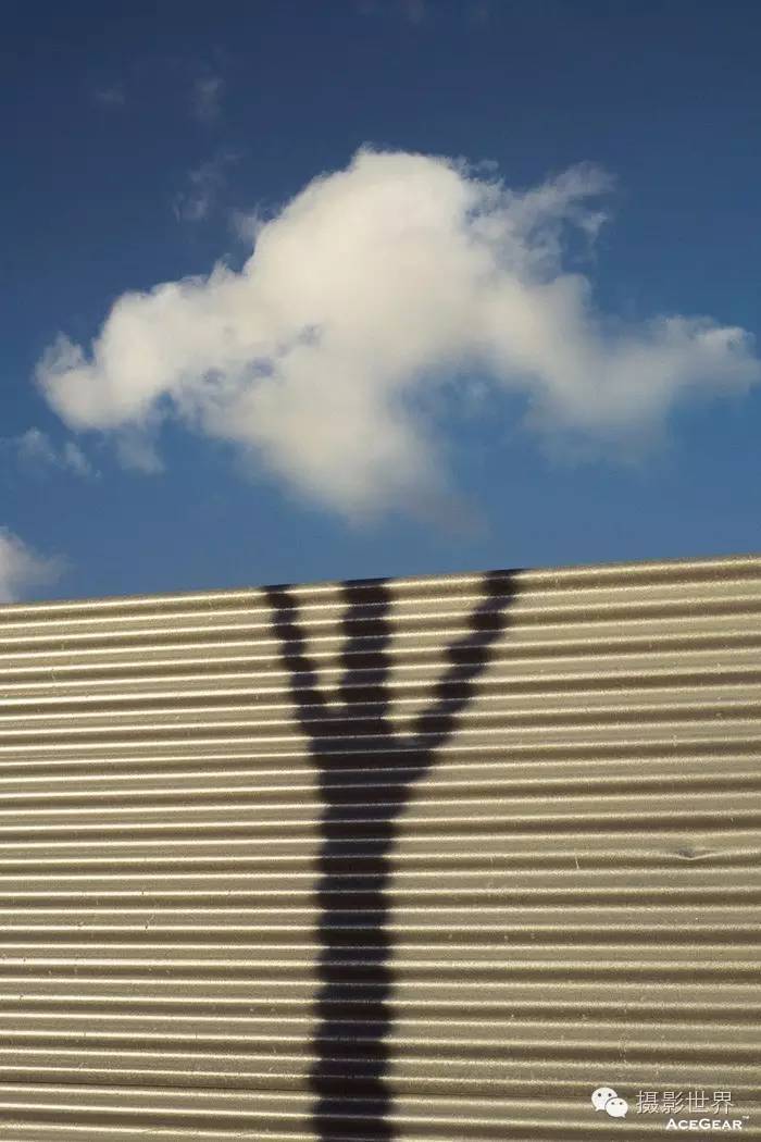 不同视角成就20张独具慧眼的巧合照片